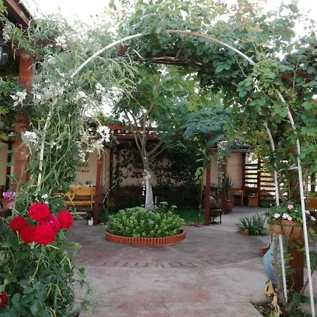 студио - морско бягство * Primorsko