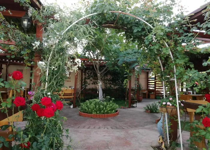 студио - морско бягство * Primorsko